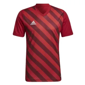 Adidas Youth Entrada 22 Graphic Jersey (Red/Red)