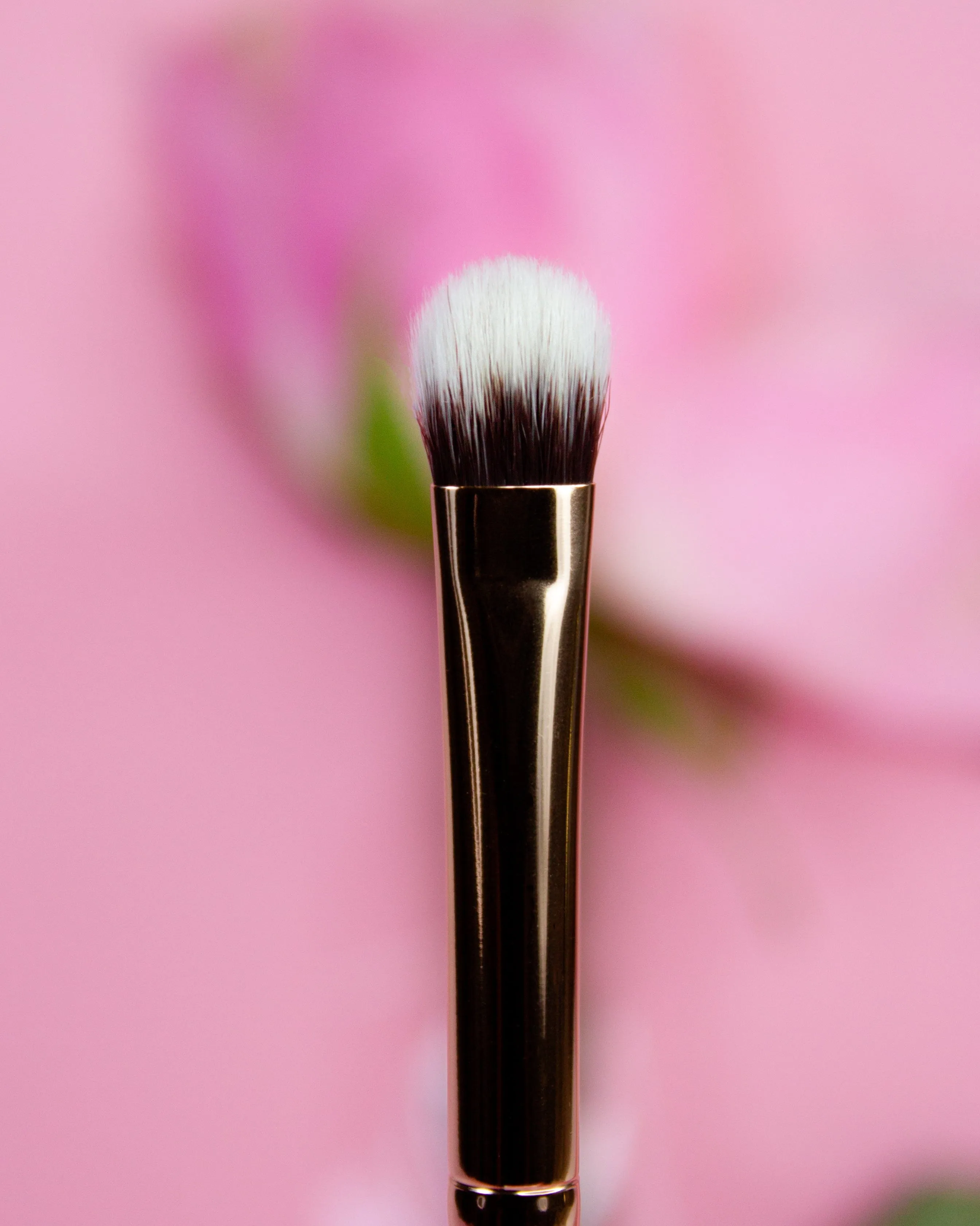 Essential Makeup Brushes