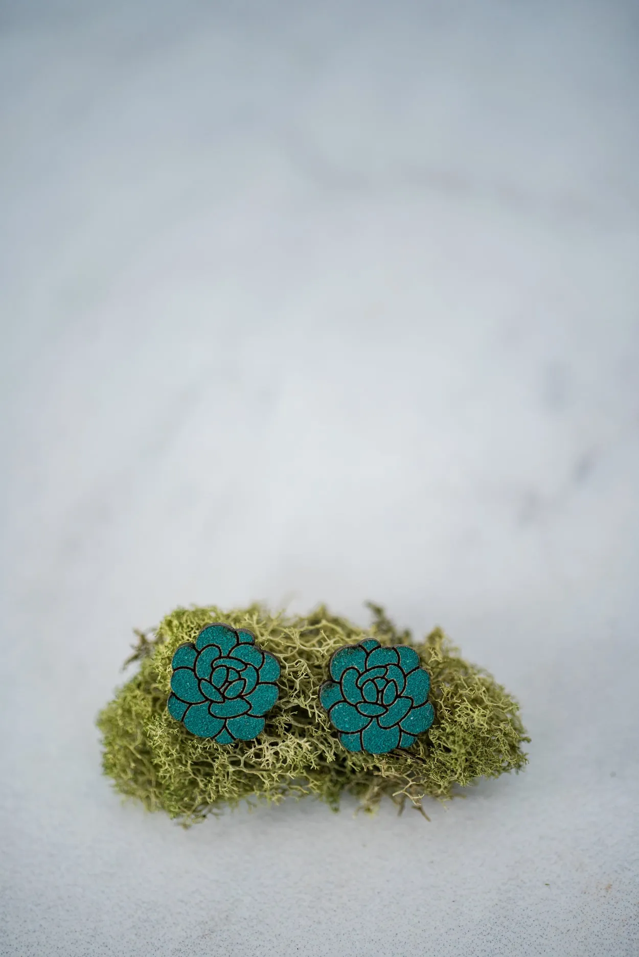 Succulent Wood Studs